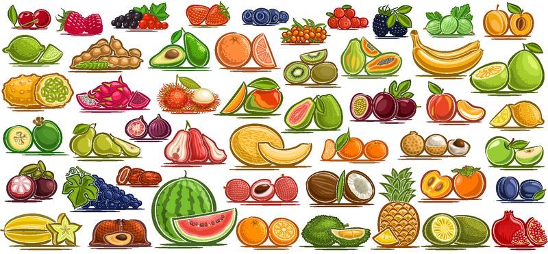 新鲜水果49种有机水果和浆果饮料或冰淇淋包装的彩色设计标识组甜杏健康的醋栗零食或果酱的扁平符号