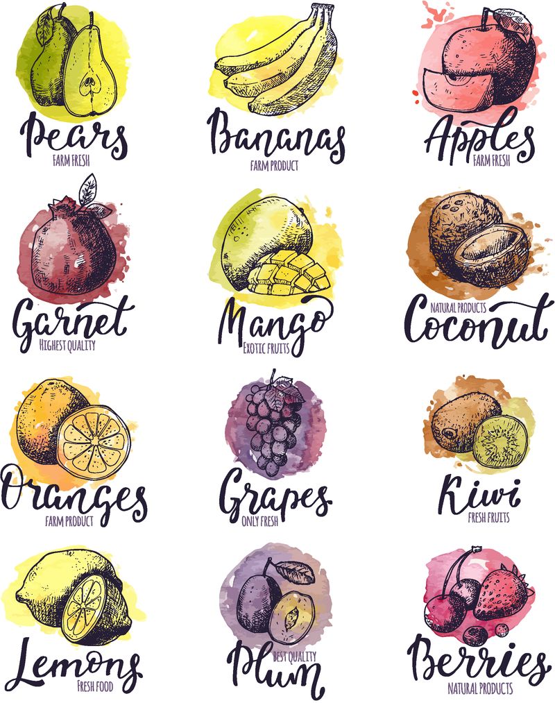 水果矢量果味苹果香蕉和异国芒果-新鲜切片和热带水果的水彩画标志-带有字母标志插图-白色背景上有丰富的果实