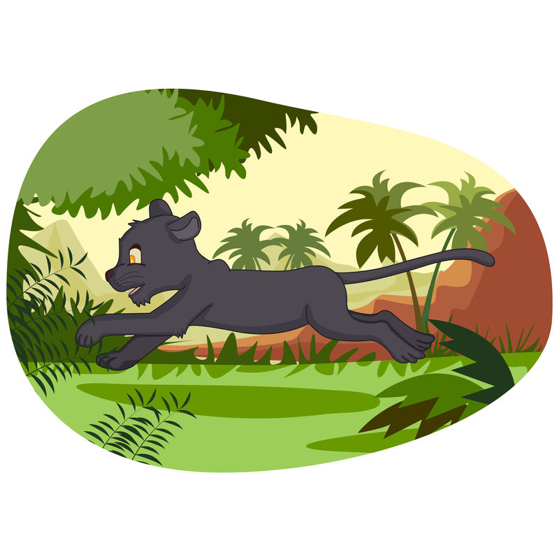 丛林森林背景下的野生动物豹