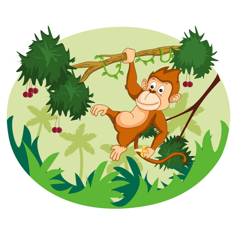 丛林森林背景下的野生动物猴