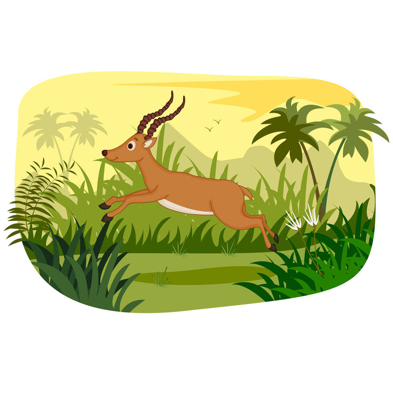 丛林森林背景下的野生动物黑斑羚