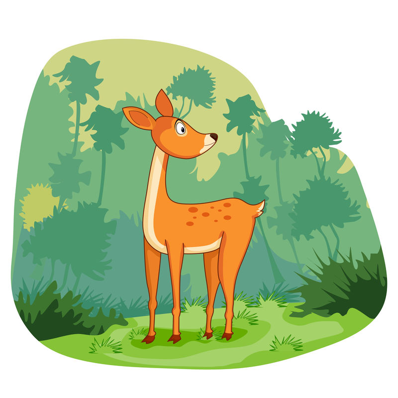 丛林森林背景下的野生动物鹿
