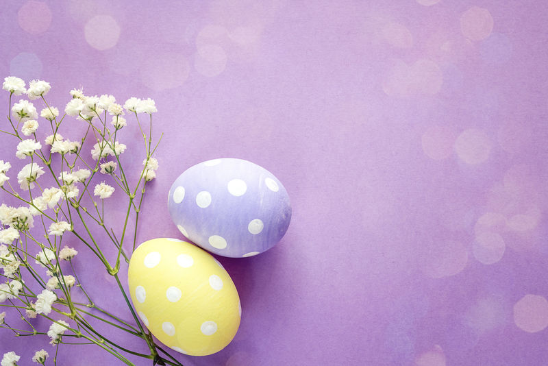 黄色和紫色复活节彩蛋和白色花在紫罗兰色背景。