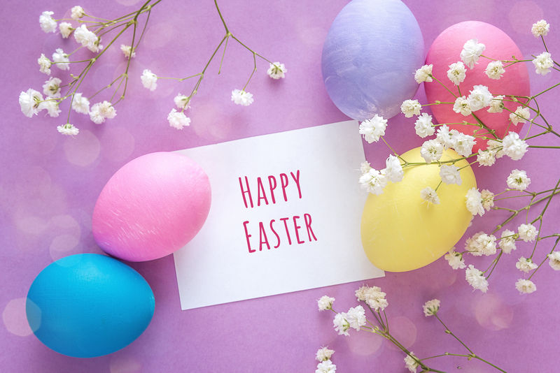 复活节彩蛋，有空白纸牌和紫色背景的白色花朵。