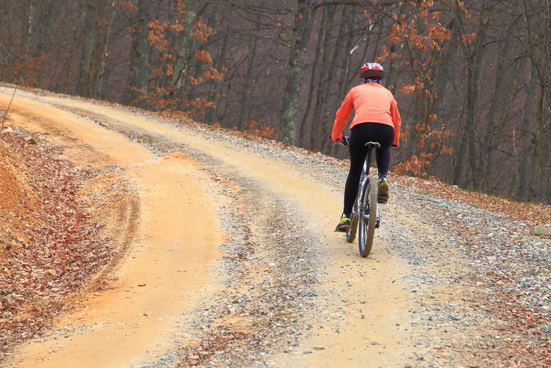 在森林中蜿蜒的公路上骑车的女骑手