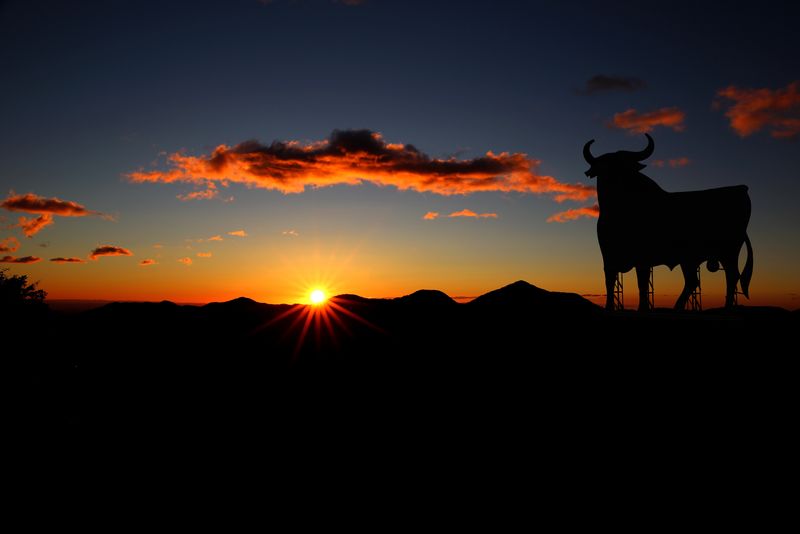 西澳大利亚卡纳文-牛在橙色日落天空中的剪影