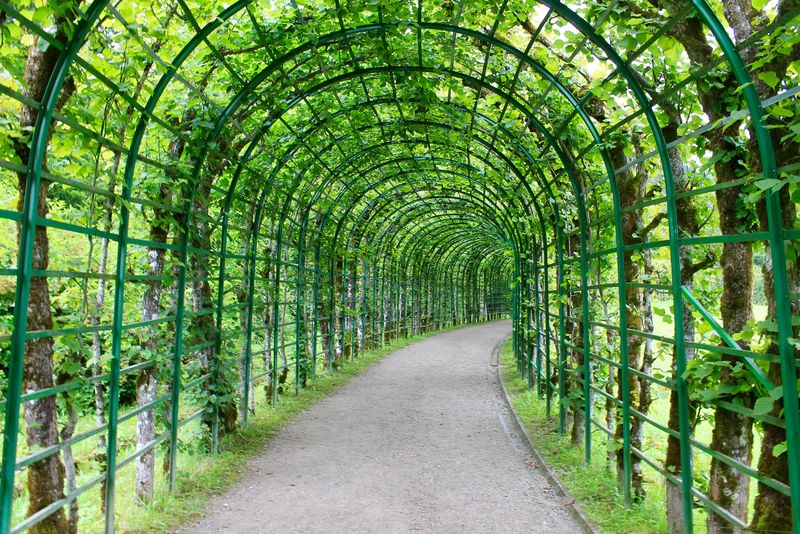 德国林德霍夫宫花园中的绿色拱门