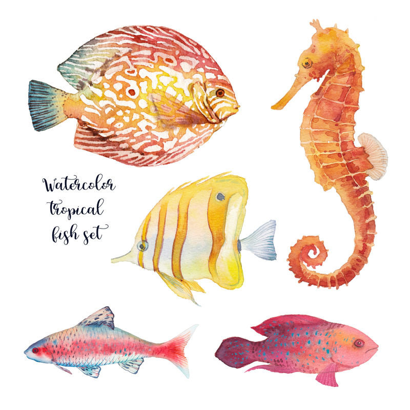 水彩热带鱼套装。白色背景下珊瑚礁鱼类和海马的手工绘制水下动物插图。艺术自然收藏