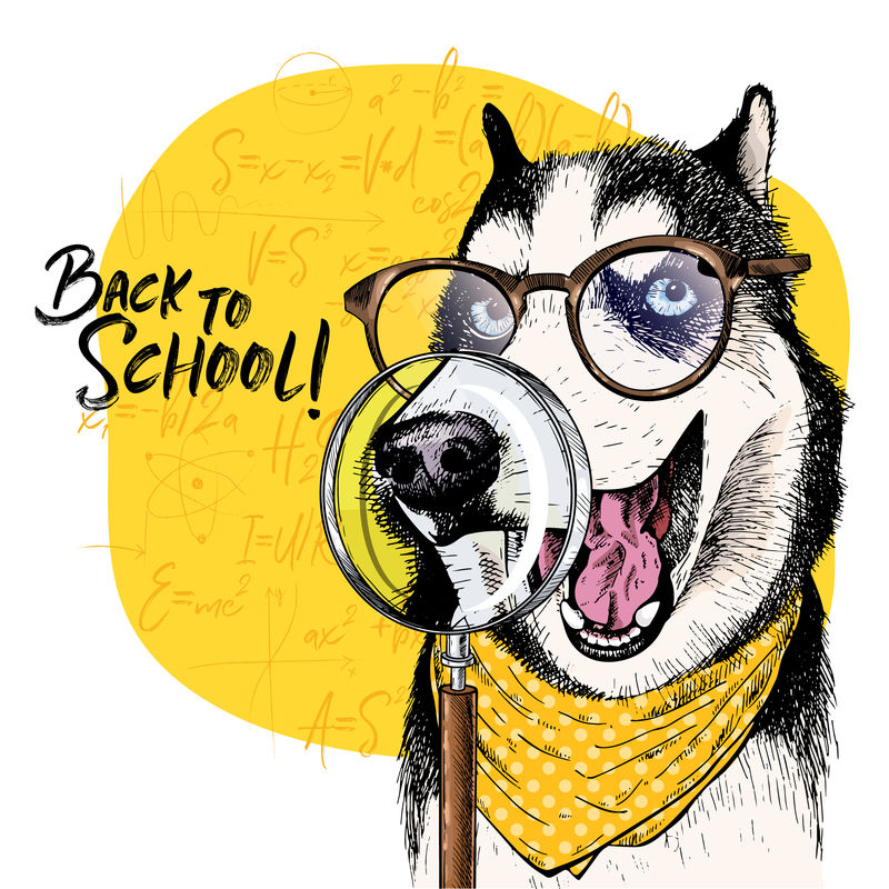 带放大镜和大鼻子倒影的西伯利亚赫斯基犬矢量图。回到学校的插图。后台的数学公式。手绘宠物门。学习海报，学生动画片。