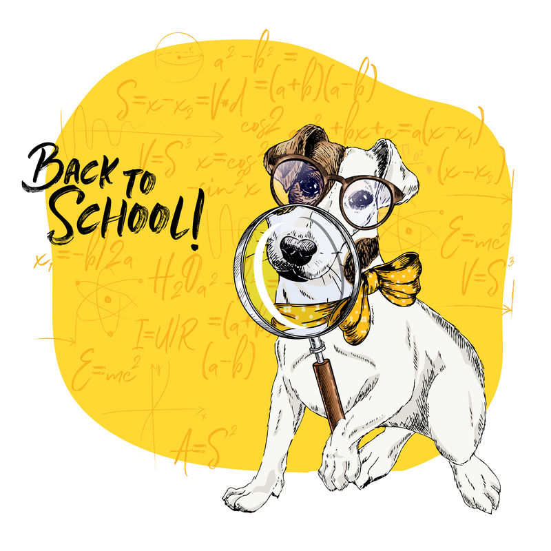 带有放大镜和大鼻子倒影的杰克·拉塞尔梗犬矢量图。回到学校的插图。数学公式背景。手绘宠物门。学习海报，学生动画片。