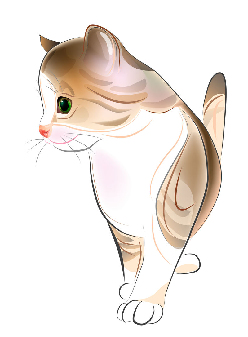 姜花斑猫的手绘肖像。水彩风格