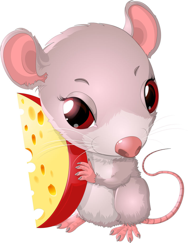 可爱老鼠夹奶酪