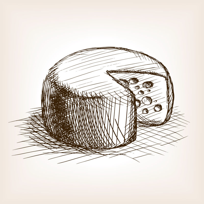 奶酪手绘草图样式向量