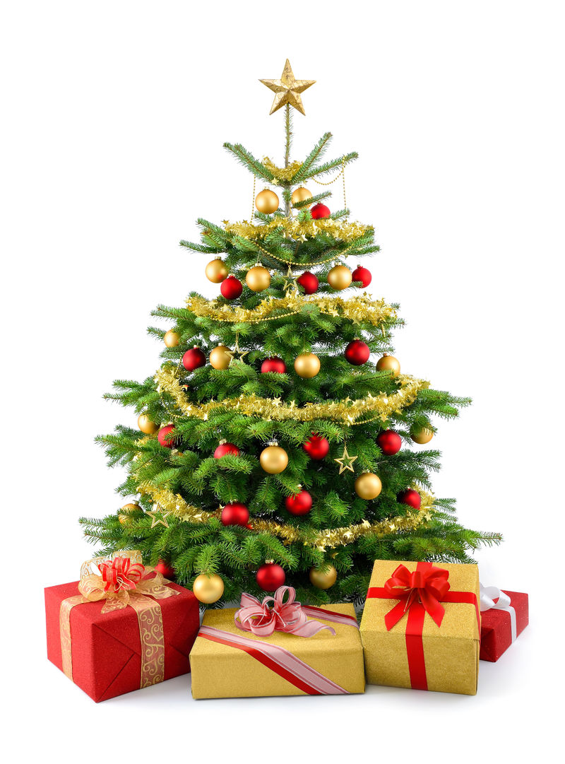 明亮的工作室拍摄的礼品盒-在一棵华丽茂盛的圣诞树前-用红色和金色装饰-白色背景隔离