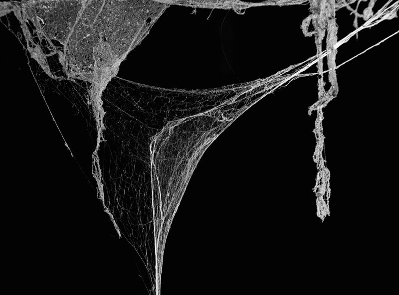 泰国古屋中的蛛网或蜘蛛网-黑色背景