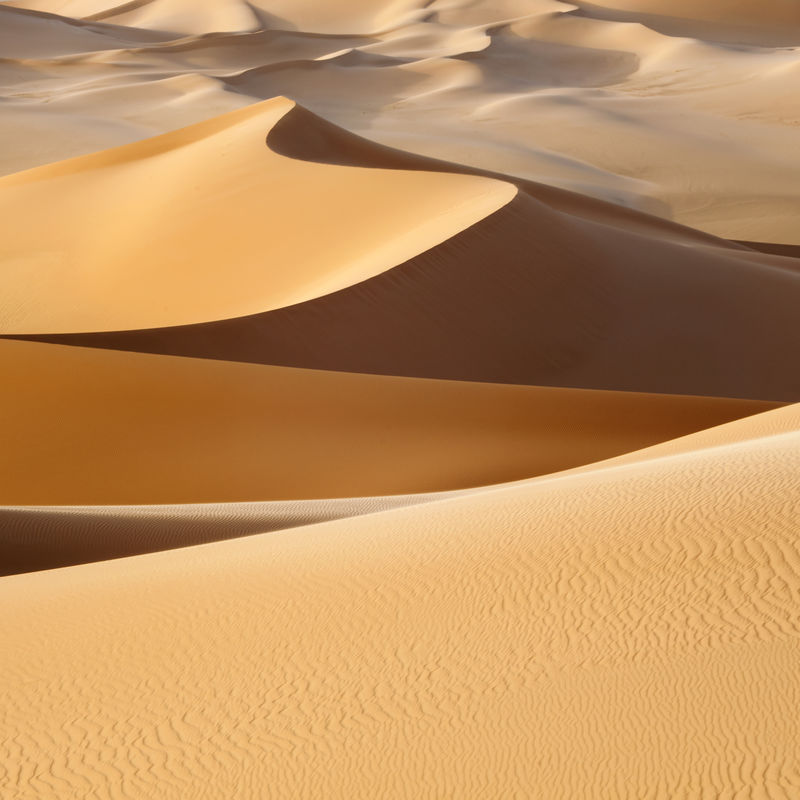 沙漠的巨大沙丘-摄影师和旅行者的好地方-桑迪barkhans漂亮的结构