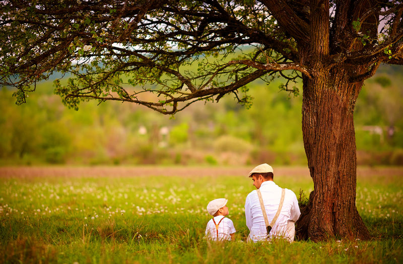 父亲和儿子坐在春天草坪上的树下