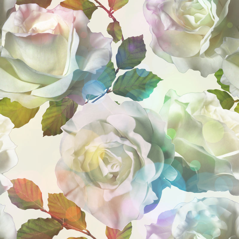 艺术复古水彩花卉无缝图案-白玫瑰独立于白色背景上-带有柔和的博克风