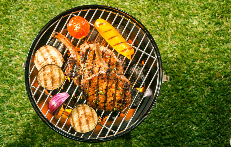 猪腰肉和各种新鲜健康蔬菜烧烤户外绿草在夏季生活方式的概念