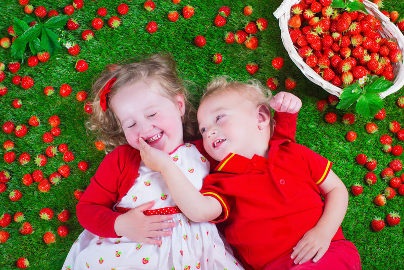 孩子吃草莓-小女孩和小男孩玩耍-吃新鲜成熟的草莓-带水果的孩子们在草坪上休息-孩子们在农场采摘浆果-享受夏日乐趣