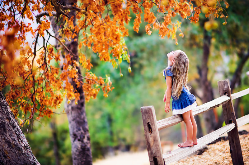 美丽的小女孩在美丽的秋景背景下放松