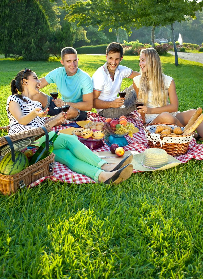 两对年轻迷人的情侣在公园里野餐-他们躺在铺在青草上的一块鲜红色和白色的布上放松-一边聊天-一边享受他们的酒和食物
