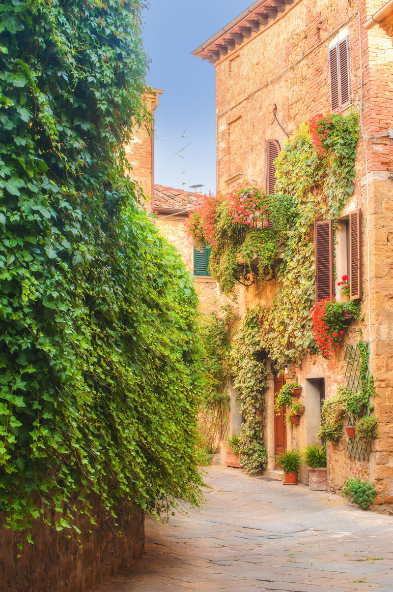 意大利卡斯蒂尔穆西奥扭曲的中世纪街道上-鲜花和绿色植物斑斓