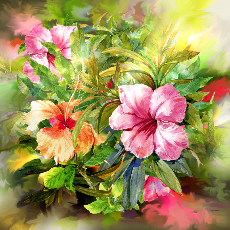 粉红花束水彩绘画风格.数码绘画
