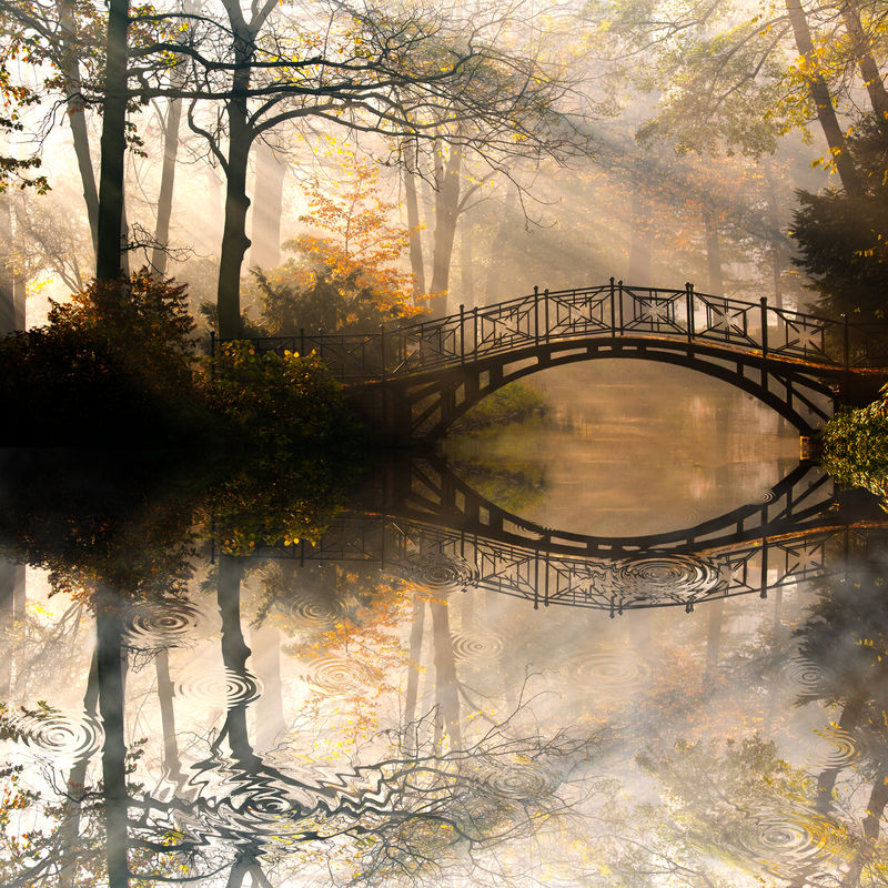 秋色朦胧桥