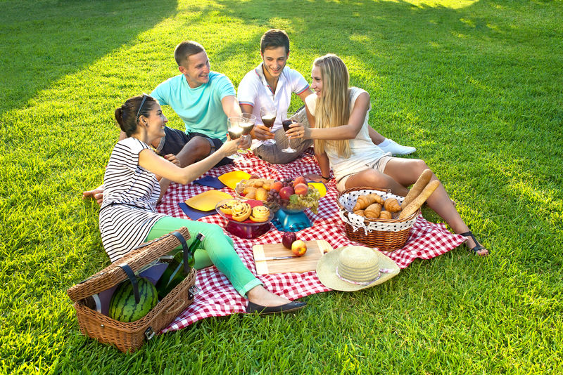 年轻漂亮的朋友去野餐-坐在一个红色的格子布草地上互相敬酒和玻璃杯