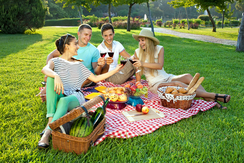 四个年轻的朋友在公园里野餐-他们坐在绿色草坪上的一块土红色和白色格子布上-用一杯红酒敬酒