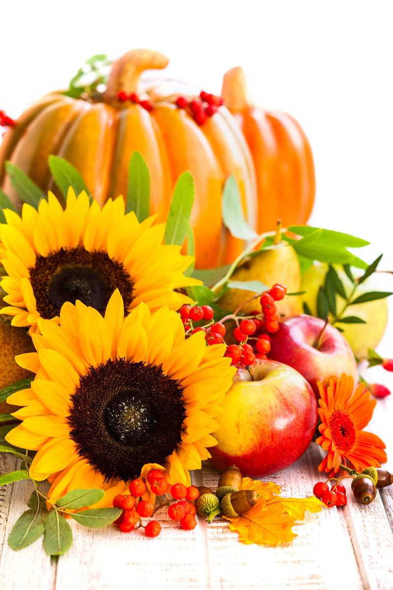秋天的静物生活-有季节性的水果、蔬菜和鲜花