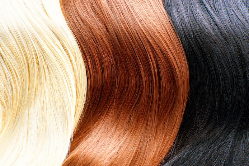 头发颜色调色板-不同的头发颜色-头发纹理-金色、棕色和黑色头发