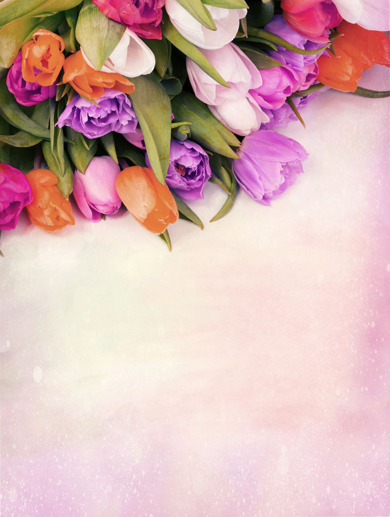 一束郁金香花-背景为绘画-复古风格-选择柔和焦点色调的照片