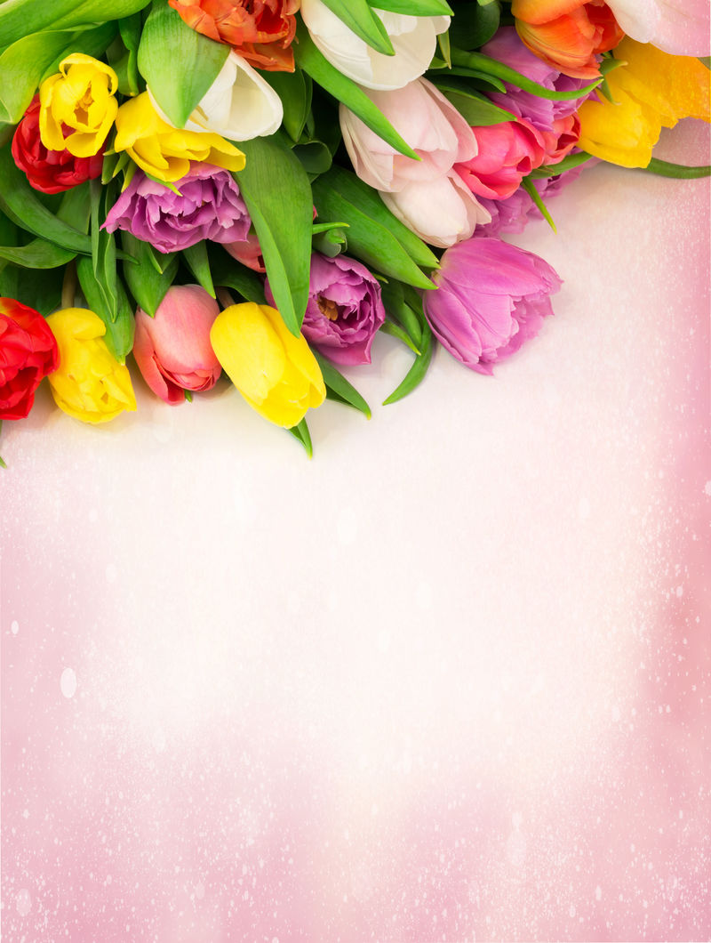 一束郁金香花-背景为绘画-复古风格-选择柔和焦点色调的照片