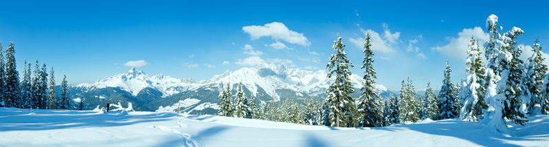 冬山冷杉林下雪的全景和女游客（顶巴巴基诺铁路-费尔兹姆斯、奥地利）