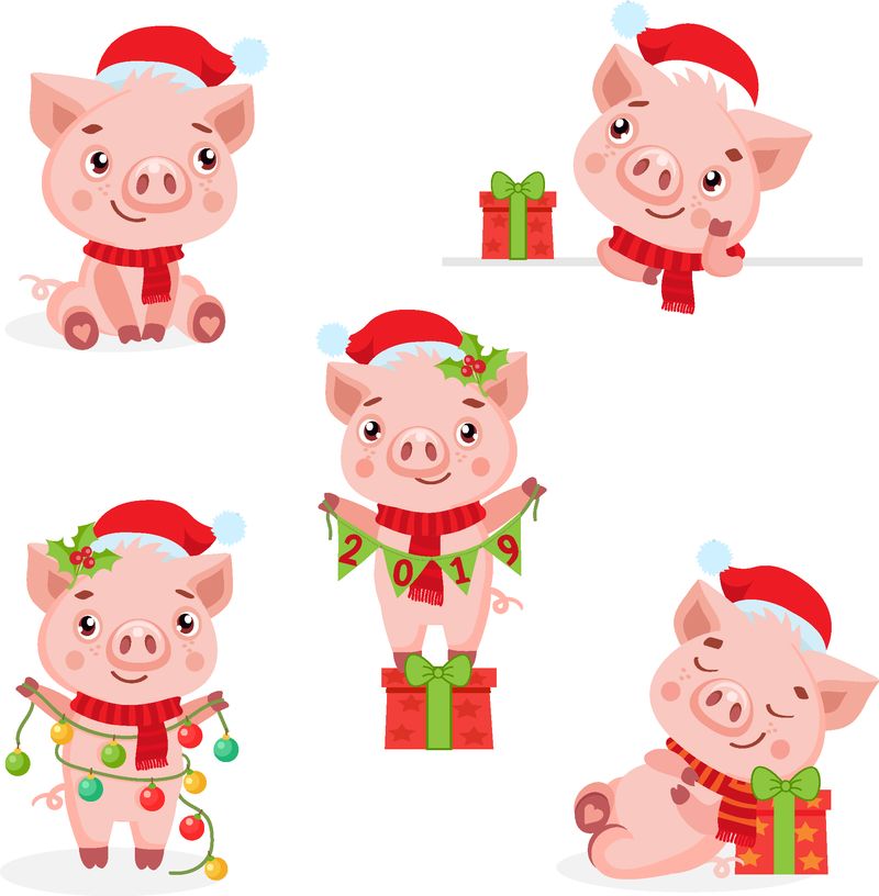 一组可爱有趣的猪矢量-中国2019年新年的象征-白底矢量图-圣诞猪矢量