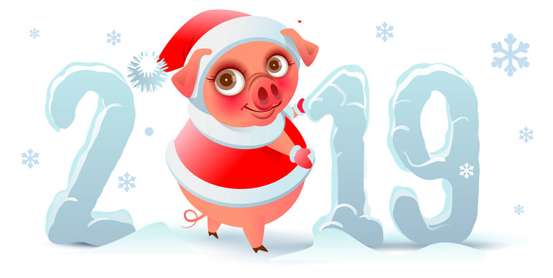 2019年中国历法上的猪年。圣诞老人猪与雪花文字