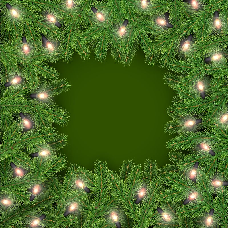 圣诞树实景树枝的圣诞和新年框架-白色背景矢量图上隔离的节日设计花环灯泡元素