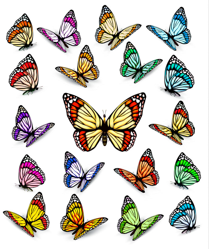 一套不同颜色的蝴蝶。矢量。
