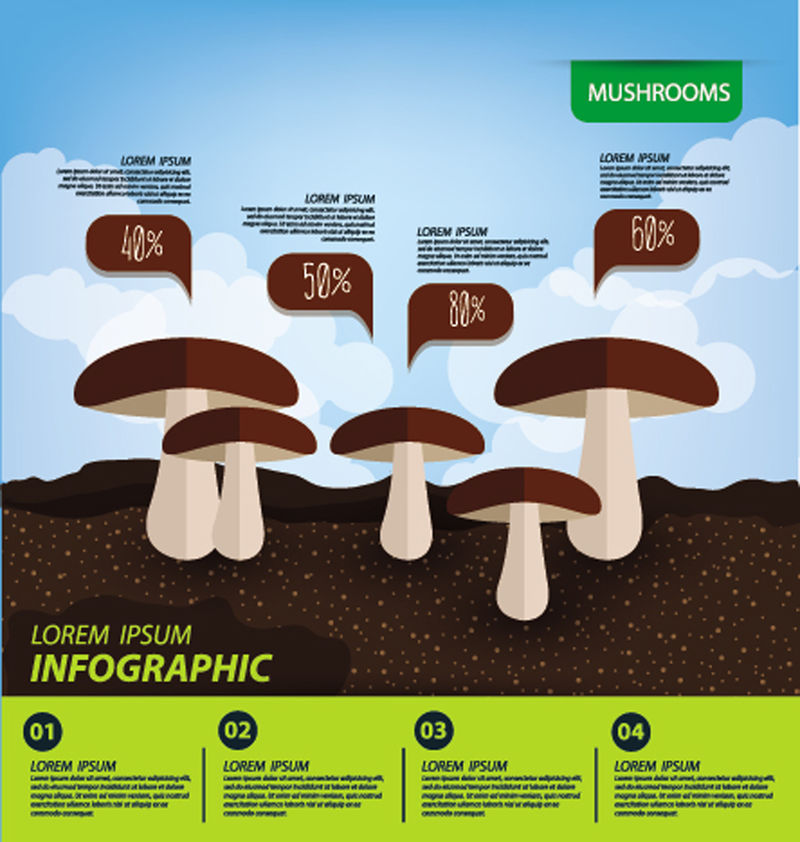 蘑菇-信息图表-蔬菜矢量图