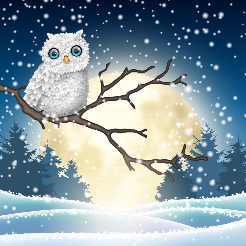 圣诞动机-可爱的白色猫头鹰坐在冬夜的干燥树枝上-在明亮的大月亮前-矢量图-透明度和渐变网格的EPS 10