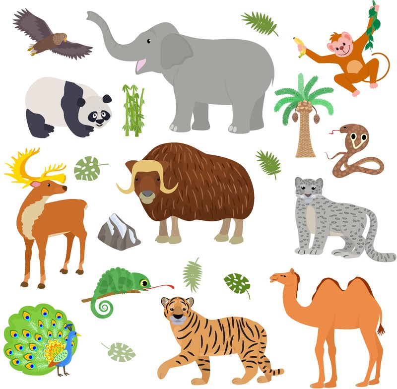 亚洲动物媒介动物野生动物特征虎骆驼熊猫亚洲野生动物图集水牛象眼镜蛇分离白底