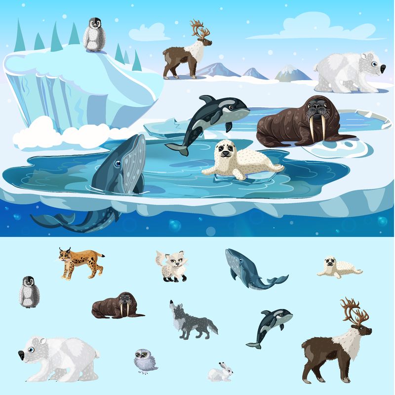 卡通风格矢量图中不同北半球动物的多彩北极野生动物概念