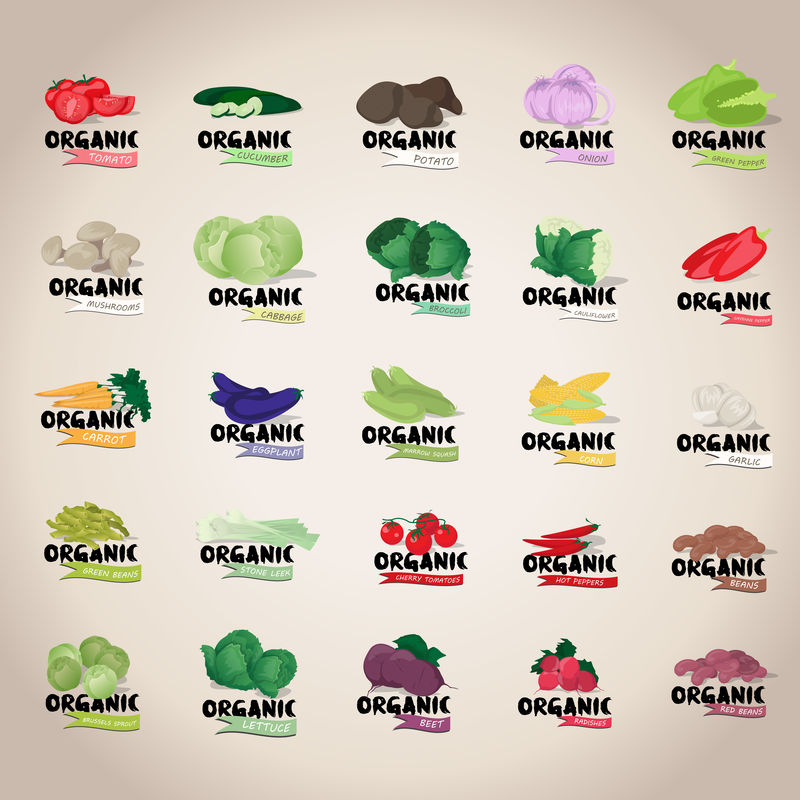 蔬菜图标集-独立于灰色背景-矢量插图-图形设计可为您的设计编辑