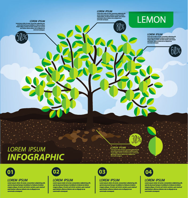 柠檬-信息图表-水果矢量图