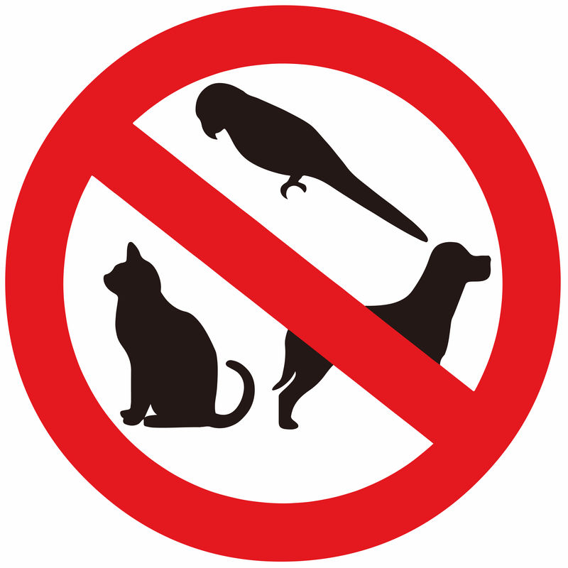 禁止携带宠物标志4