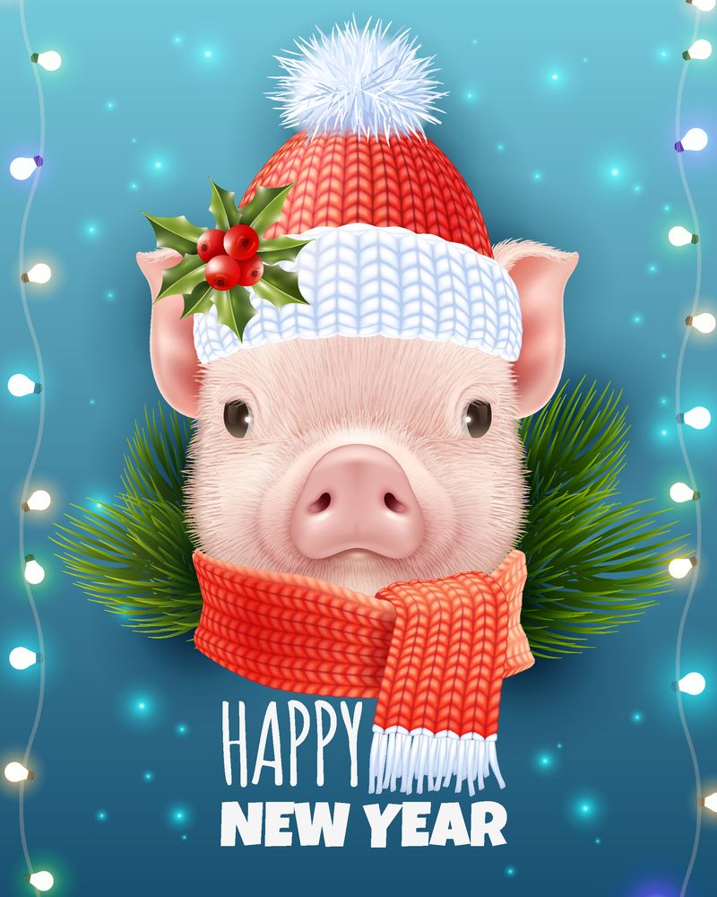 冬季猪头针织帽圣诞写实矢量图及新年快乐题词
