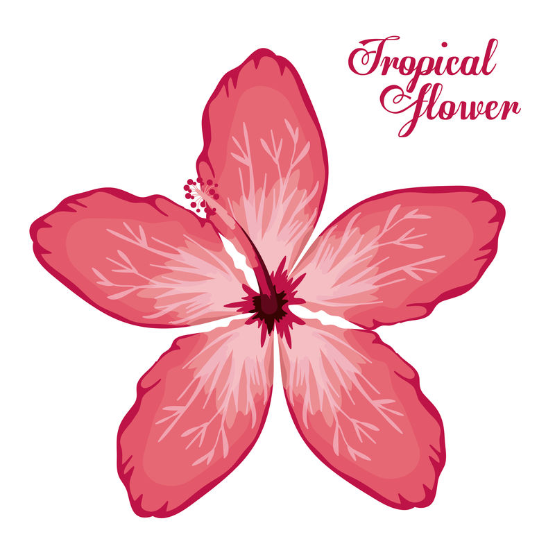 热带花卉设计