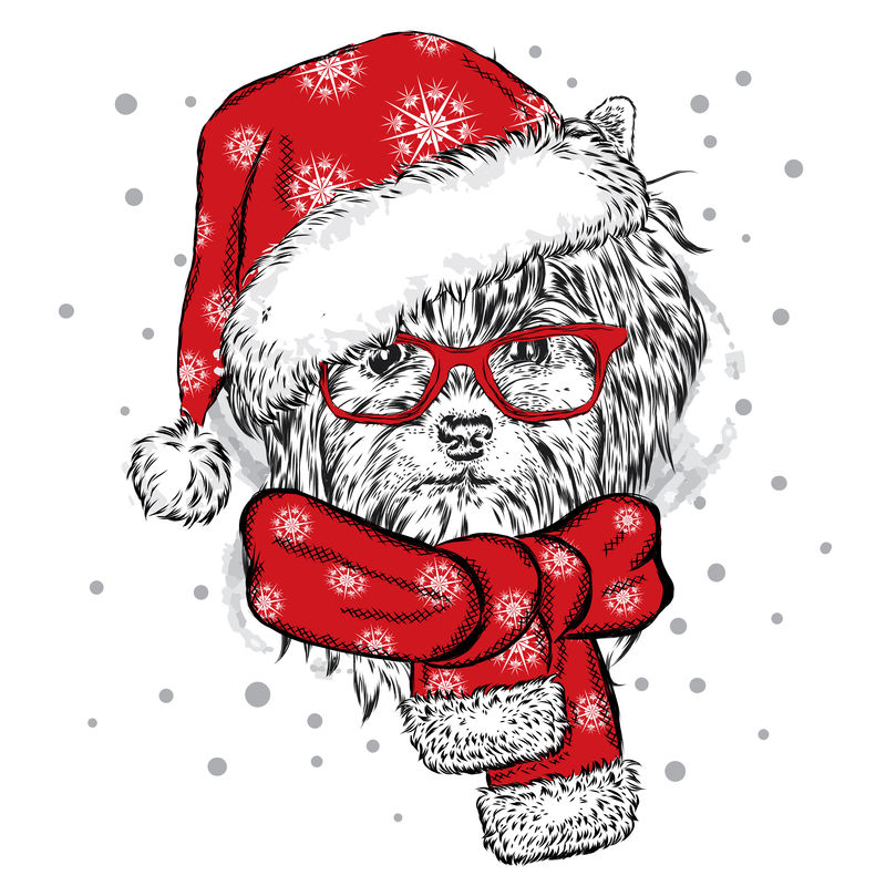 戴着圣诞帽和太阳镜的可爱小狗-卡片、海报或印在衣服上的矢量图-家谱犬-约克郡梗-冬天、圣诞节和新年